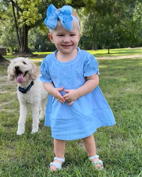 Blue Cross Emb. Dress