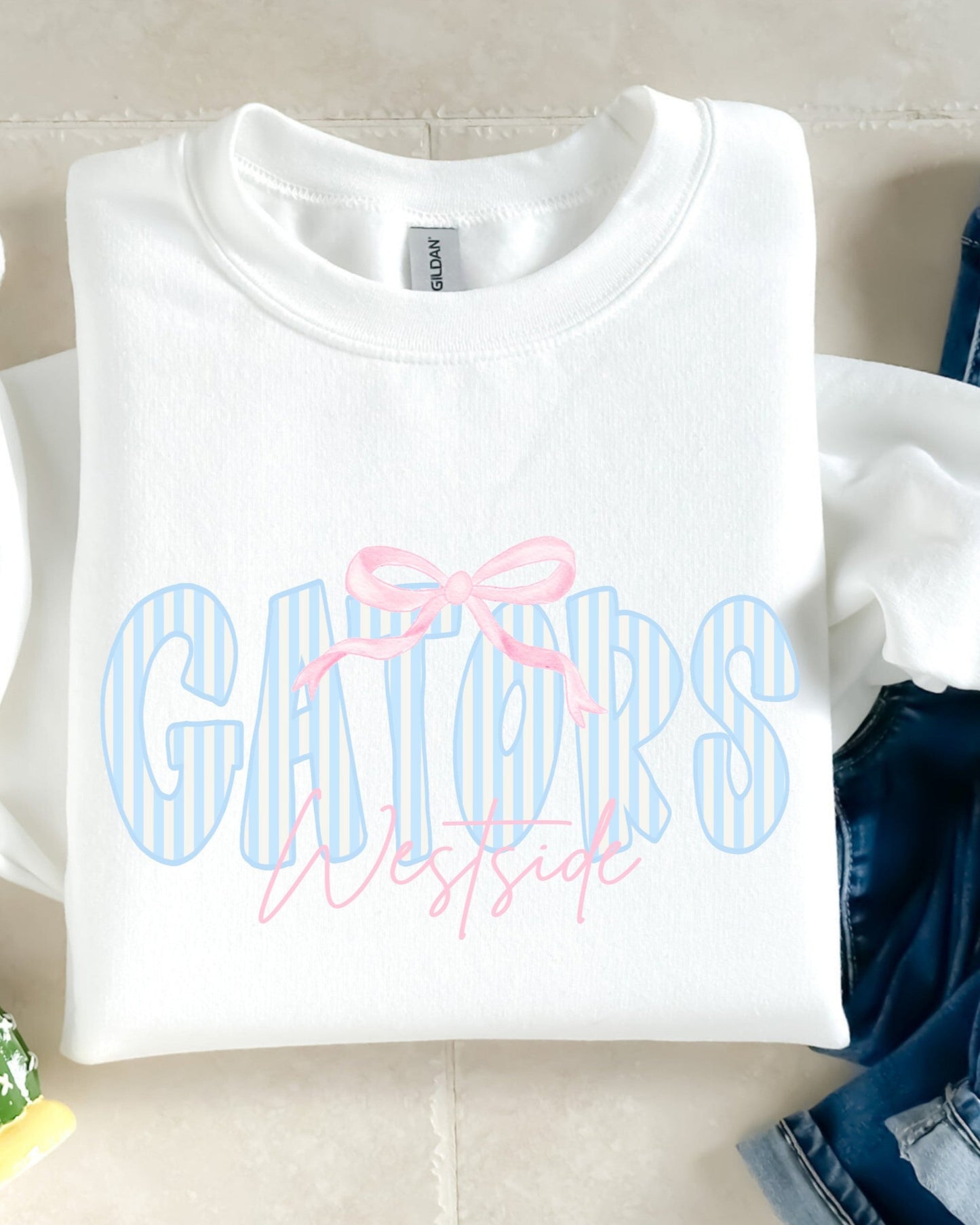 WSJH Blue Stripe Sweatshirt