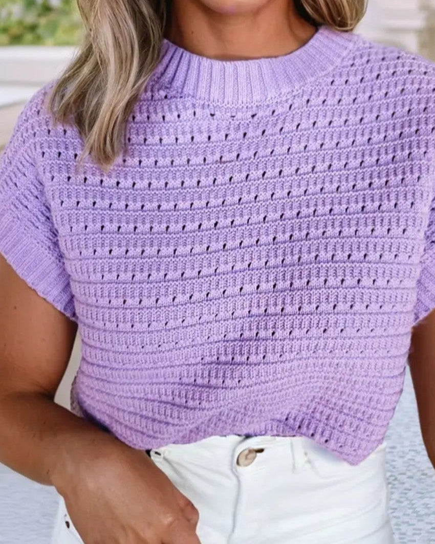 Knit Ribbed Trim Short Sleeve Sweater