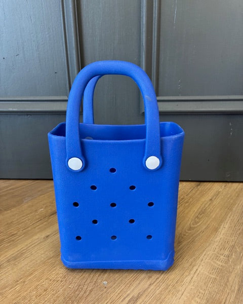 Mini Inspired Bogg Bag