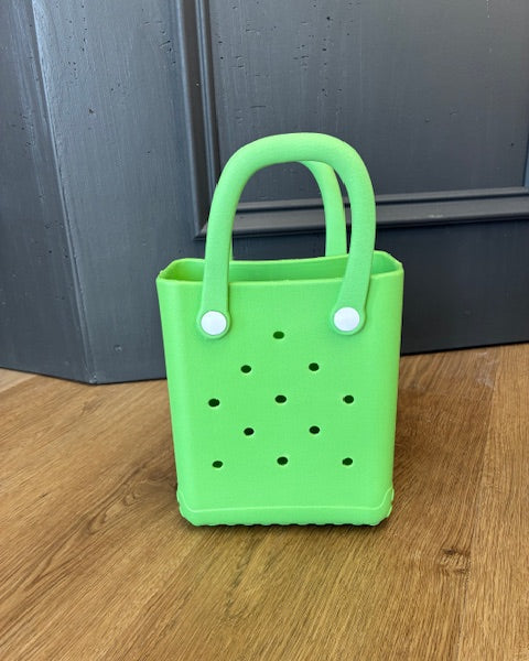 Mini Inspired Bogg Bag
