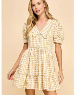 Gingham Peter Pan Dress