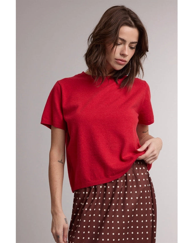 Short Sleeve Knit Sweater